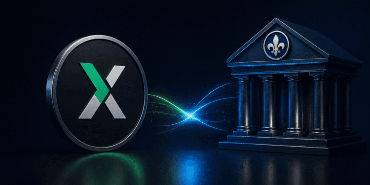 XBO.com