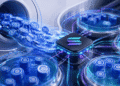Circle Mints $250 Million USDC on Solana in Six Hours as $3.25 Billion Floods the Network