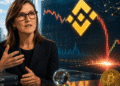 Cathie Wood Binance