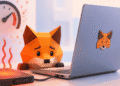 MetaMask SSD Bug