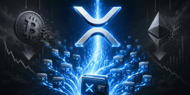 XRP Adds 4,300 New Wallets in a Single Day While Bitcoin and Ethereum ETFs Bleed