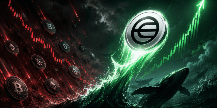 Worldcoin Soars 60% as Whales Load Up Before July’s 43% Token Unlock Cut